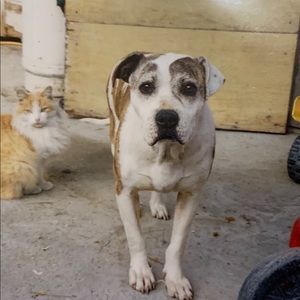 Meet your Posher, Ismael